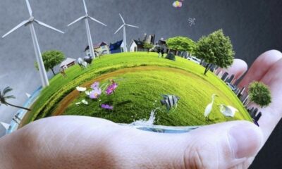9 Green Business Opportunities for Eco-Entrepreneurs