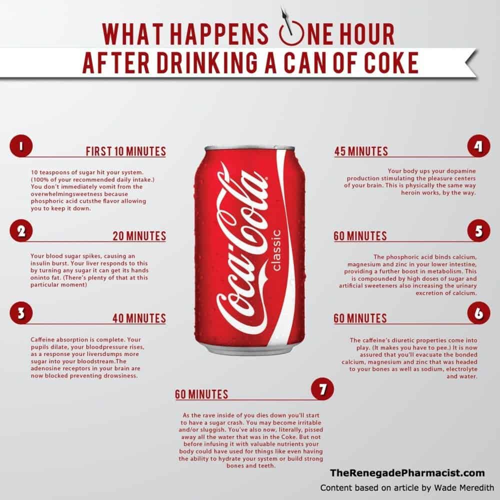 What Happens One Hour After Drinking A Can of Coke [Infographic]