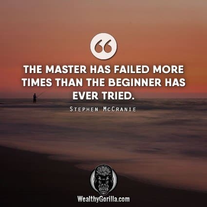 “The master has failed more times than the beginner has ever tried.” – Stephen McCranie quote
