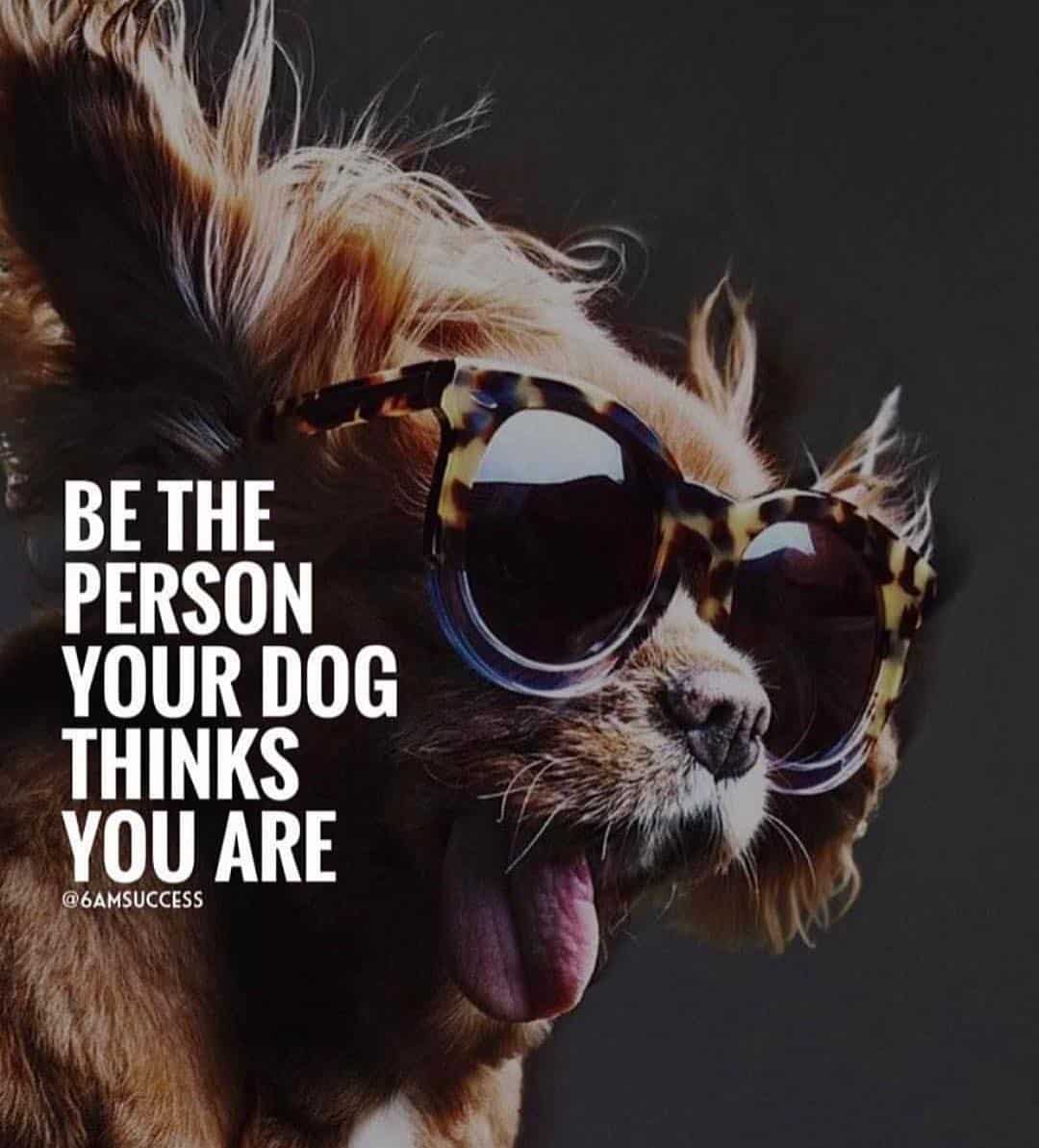 “Be the person your dog thinks you are.” - quote