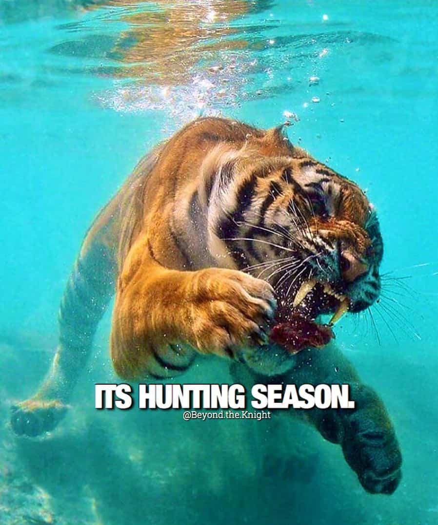 “It’s hunting season.” - quote
