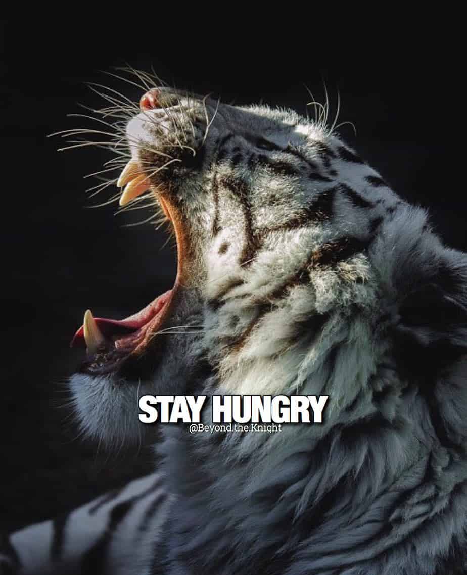 “Stay Hungry.” - quote