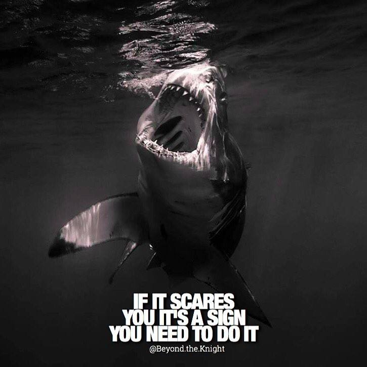“If it scares you it’s a sign you need to do it.” - quote