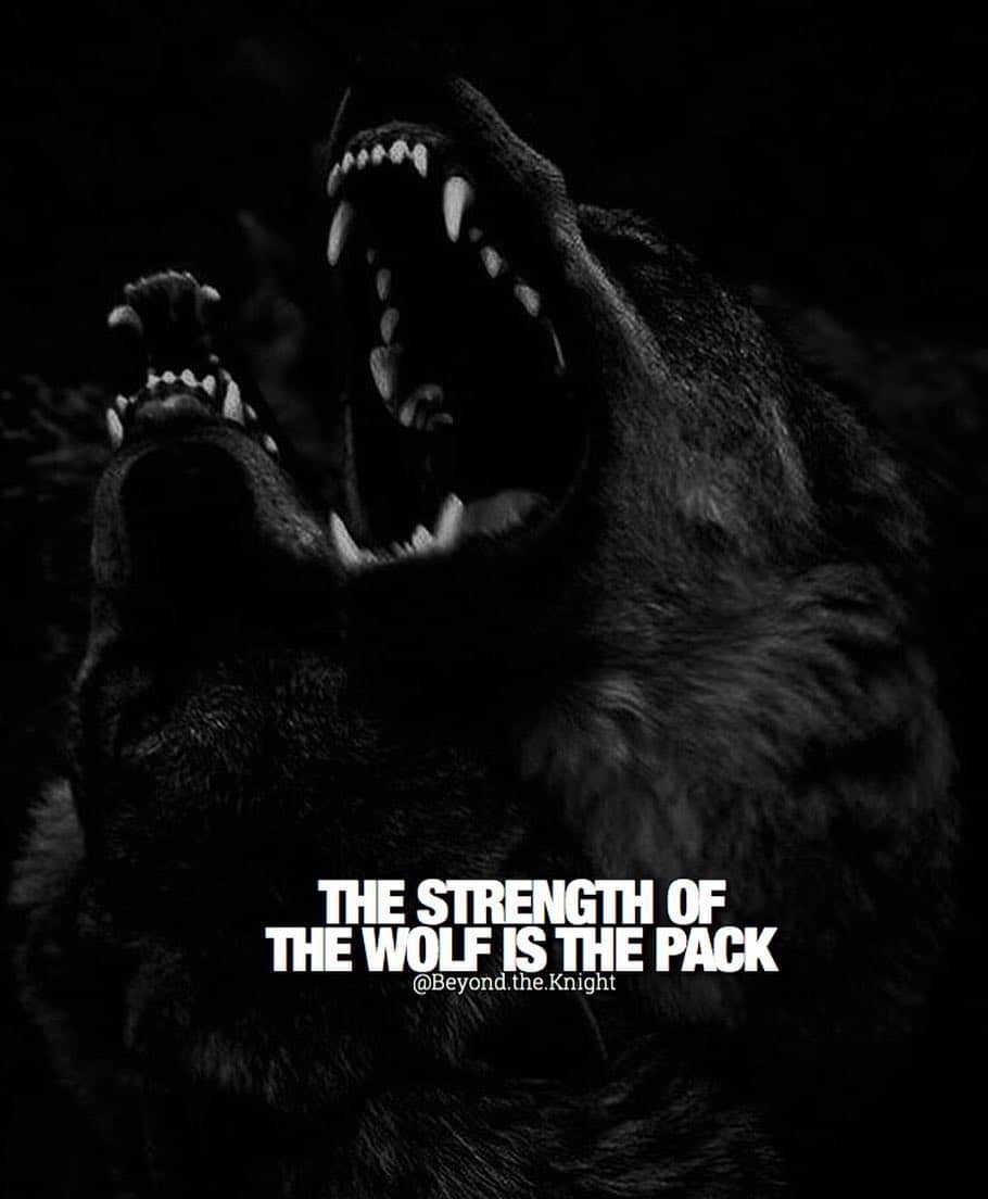 “The strength of the wolf is the pack.” - quote