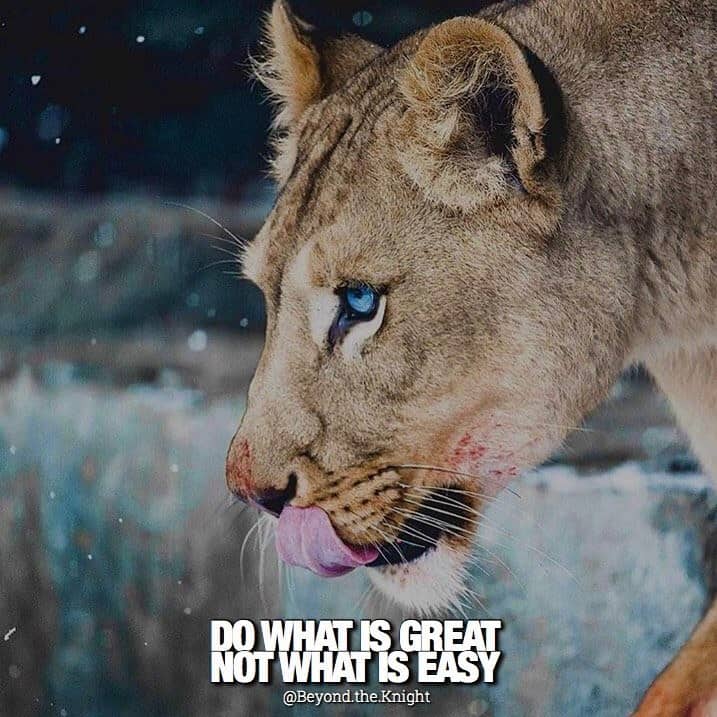 “Do what is great, not what is easy.” - quote