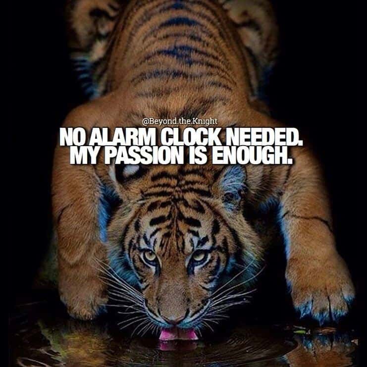 “No alarm clock is needed. My passion is enough.” - quote