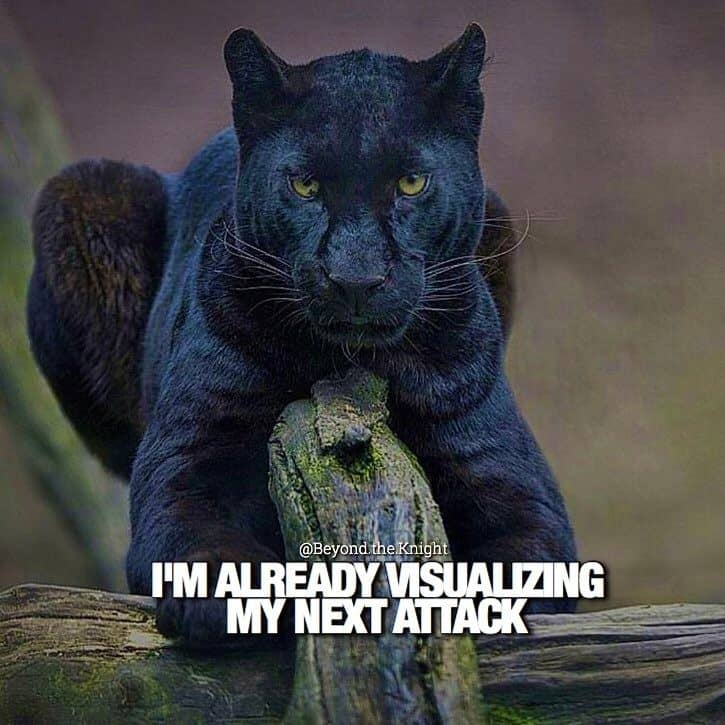 “I’m already visualizing my next attack.” - quote