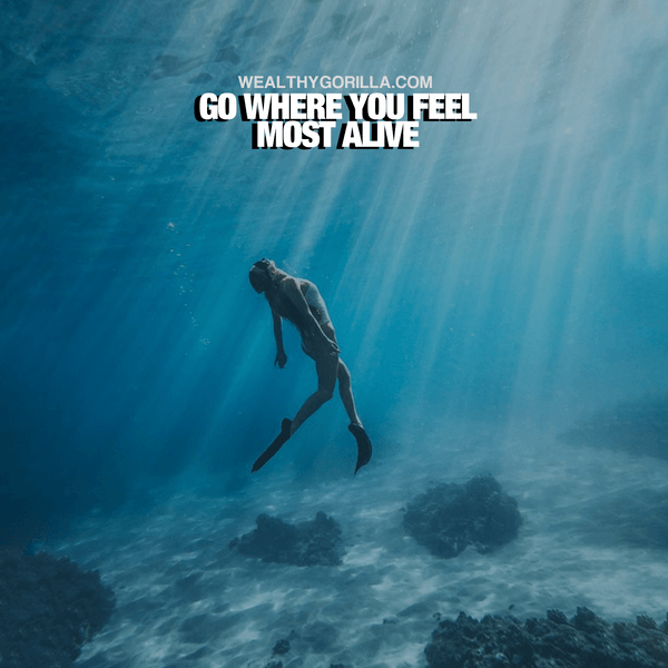 “Go where you feel most alive.” - quote