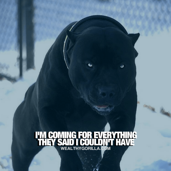 “I’m coming for everything they said I couldn’t have.” - quote