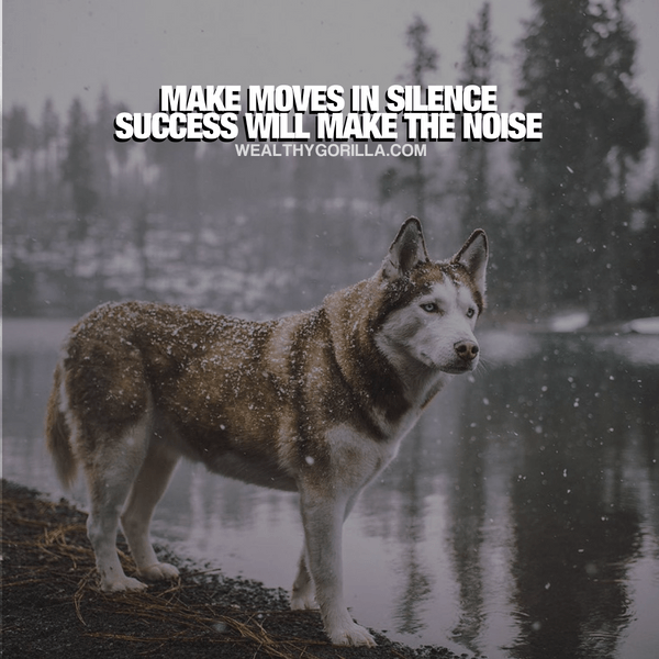 “Make moves in silence. Success will make the noise.” - quote
