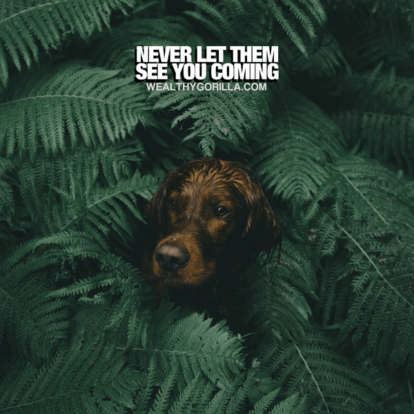 “Never let them see you coming.” - quote