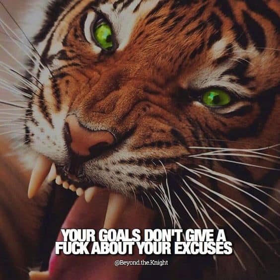 “Your goals don’t give a f*** about your excuses.” - quote