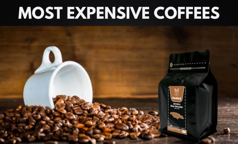 Most Expensive Coffees in the World