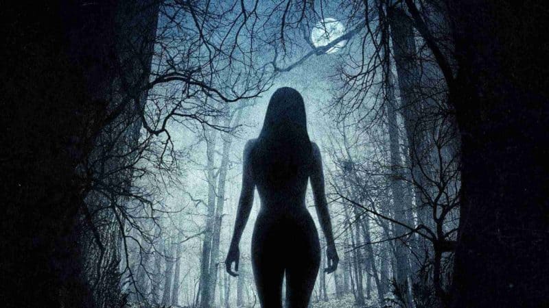 Best Horror Movies on Netflix - The Witch (2015)