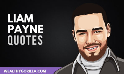 The Best Liam Payne Quotes
