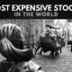 The Most Expensive Stocks