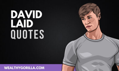 The Best David Laid Quotes