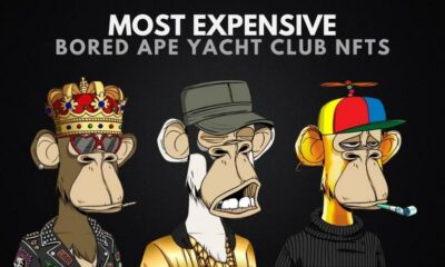 The Most Expensive Bored Ape Yacht Club NFTs Ever Sold