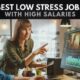 The 10 Best Low Stress High Paying Jobs