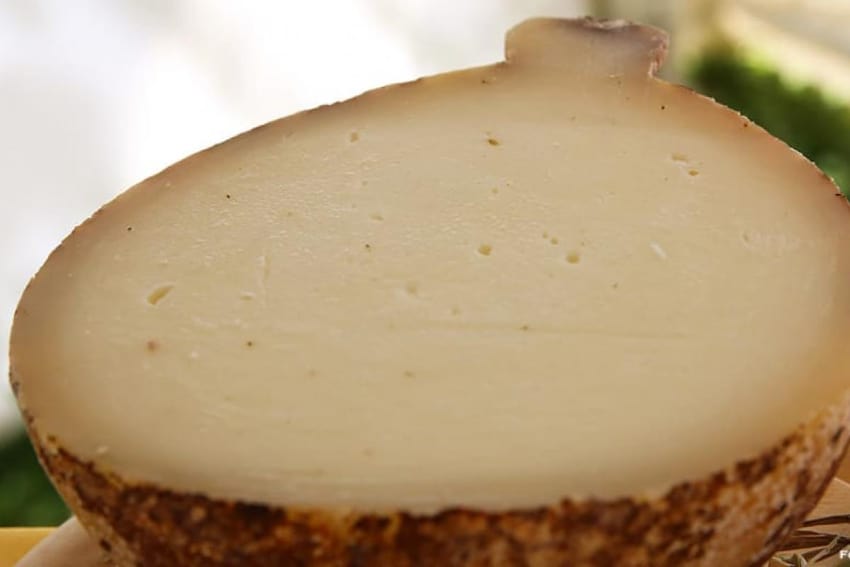 Most Expensive Cheeses in the World - Caciocavallo Podolico