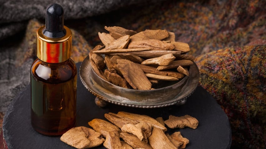 Most Expensive Essential Oils in the World - Agarwood