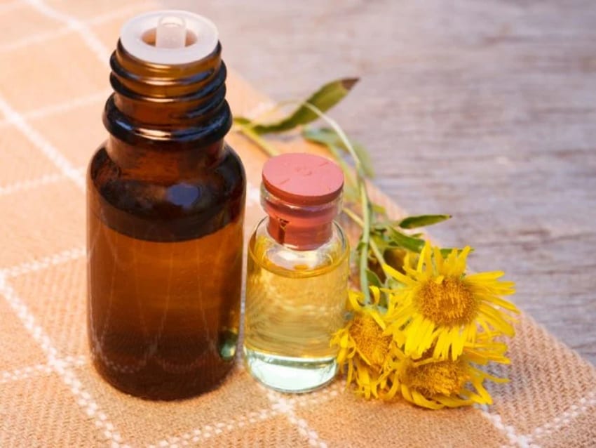 Most Expensive Essential Oils in the World - Elecampane