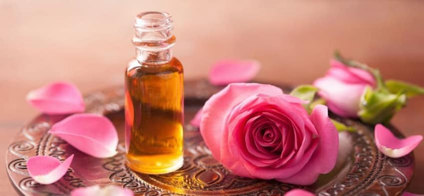 Most Expensive Essential Oils in the World - Rose