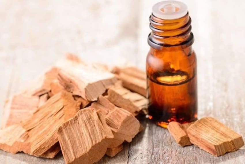 Most Expensive Essential Oils in the World - Sandalwood