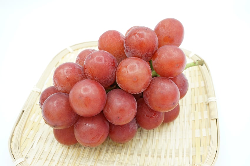 Most Expensive Fruits in the World - Ruby Roman Grapes