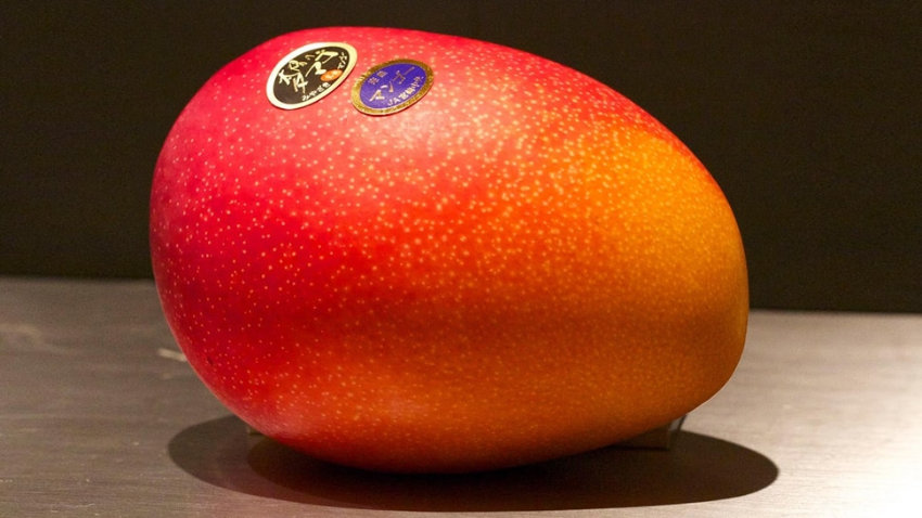 Most Expensive Fruits in the World -  Taiyo no Tamago Mango