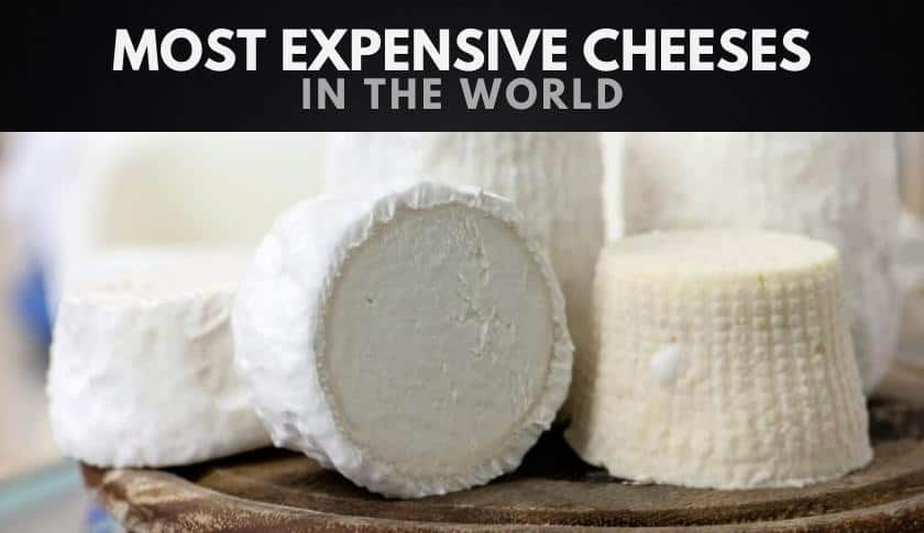 The 10 Most Expensive Cheeses in the World