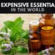 The Most Expensive Essential Oils in the World