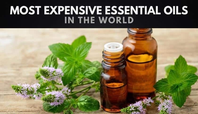 The Most Expensive Essential Oils in the World