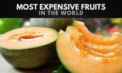 The Most Expensive Fruits in the World