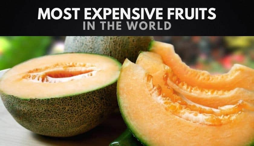 The Most Expensive Fruits in the World