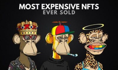 The 10 Most Expensive NFTs Ever Created