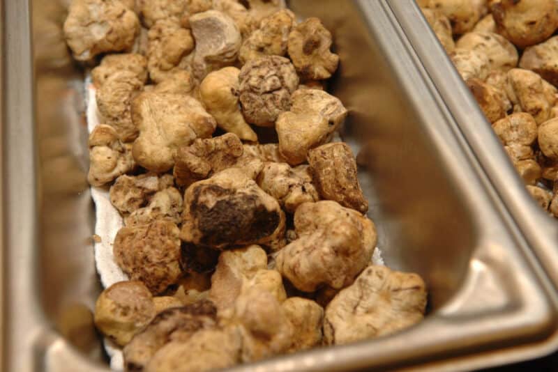 Most Expensive Truffles in the World - 2.2 Pound White Italian Truffle