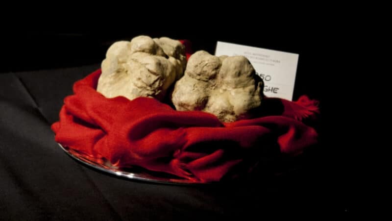 Most Expensive Truffles in the World - Grande Twin Truffles