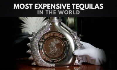 The Most Expensive Tequilas in the World