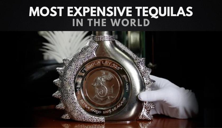 The 20 Most Expensive Tequilas in the World