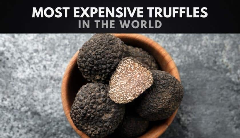 The 10 Most Expensive Truffles in the World
