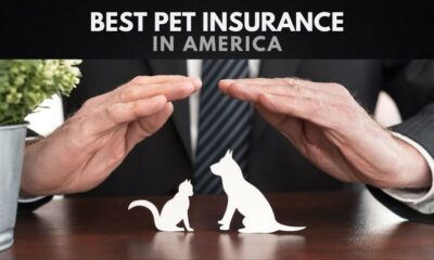 The Best Pet Insurance Companies in America