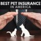 The Best Pet Insurance Companies in America